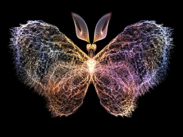 蝶の輝き — ストック写真