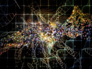 mikro kozmos iç hayatı