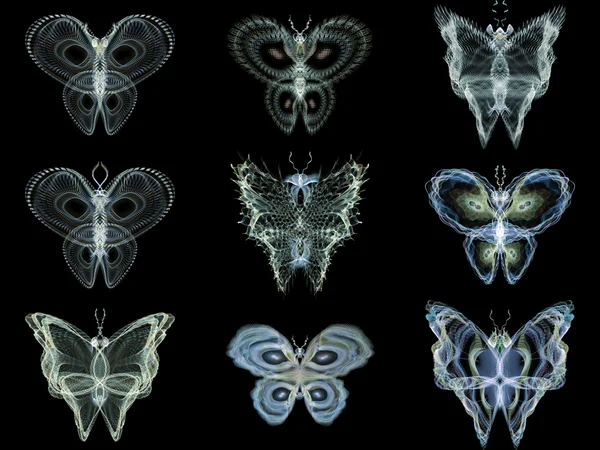 Vielfalt fraktaler Schmetterlinge — Stockfoto