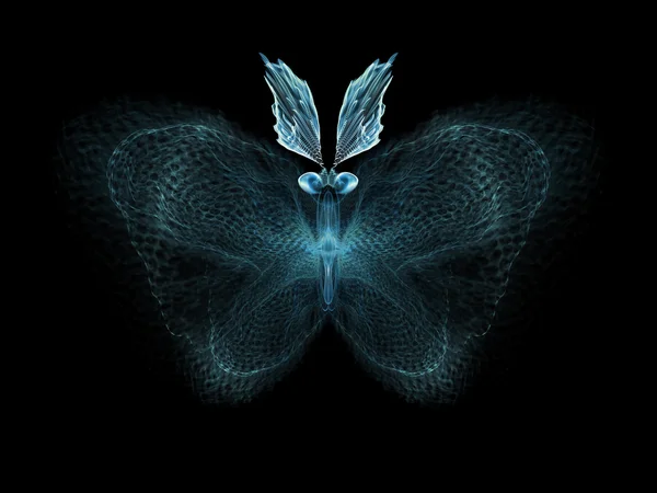 Butterfly Elegance — Stock Photo, Image