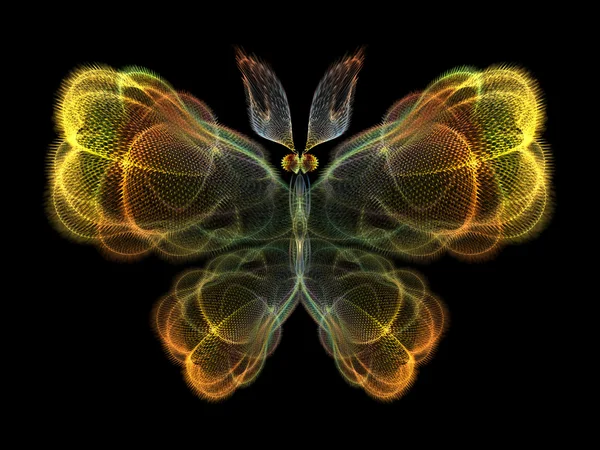 Butterfly Elements — Stock Photo, Image