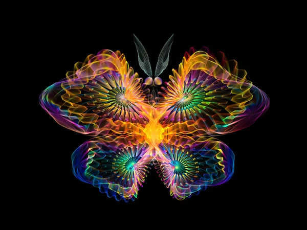 Colorful Butterfly — Stock Photo, Image