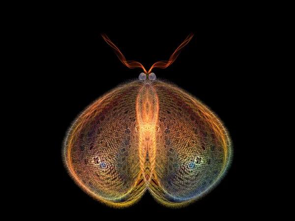 Motyl lustrzany — Zdjęcie stockowe