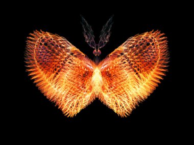 doğru dijital kelebek