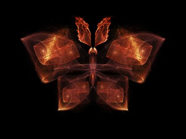 Kelebek görselleştirme