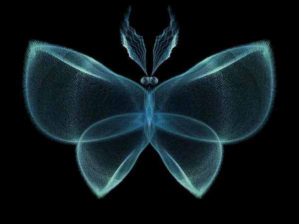 Accidental Butterfly — Stock Photo, Image