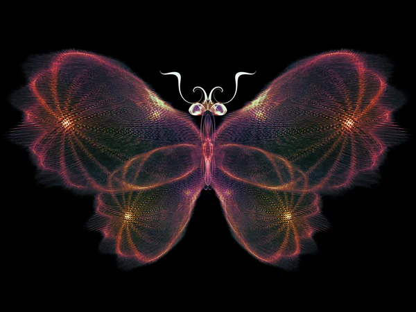 Pétalas de borboleta — Fotografia de Stock