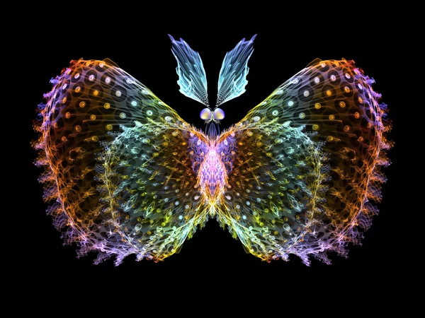 Elementos de mariposa —  Fotos de Stock