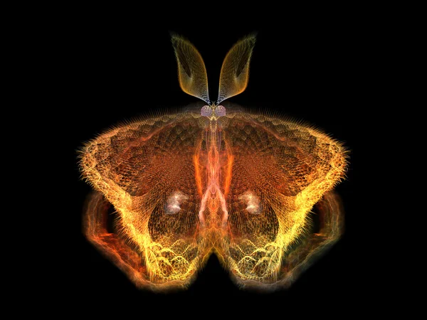 Papillon brillant — Photo