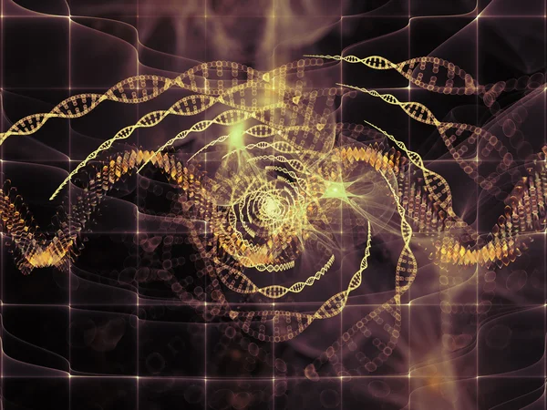 Развивающаяся ДНК — стоковое фото