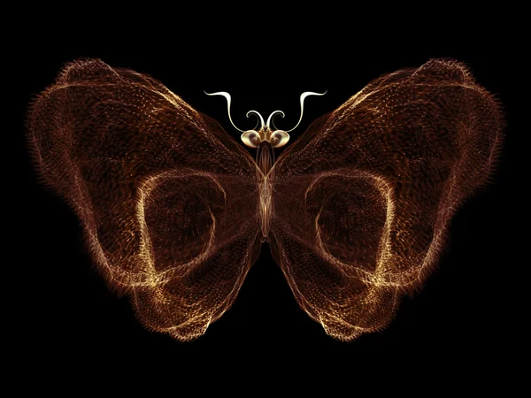 Illusion of Butterfly — Stock Photo, Image