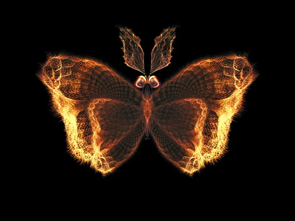Лепестки бабочки — стоковое фото