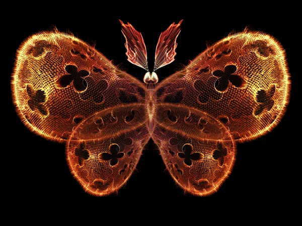 Diseño de mariposa — Foto de Stock