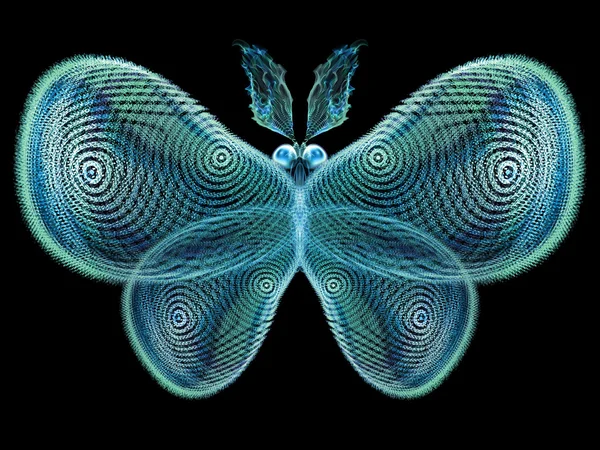 Diseño de mariposa — Foto de Stock