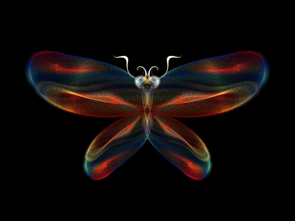 Kelebek elemanları — Stok fotoğraf