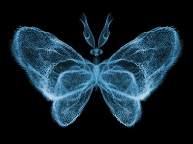 yanlışlıkla kelebek