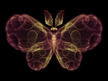 Kelebek arayışı içinde