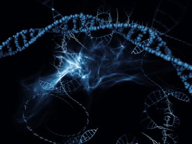 gelişen küçük evren