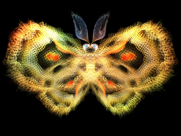 Světla motýl — Stock fotografie