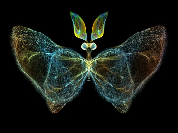 Glow of Butterfly — Stock Photo, Image