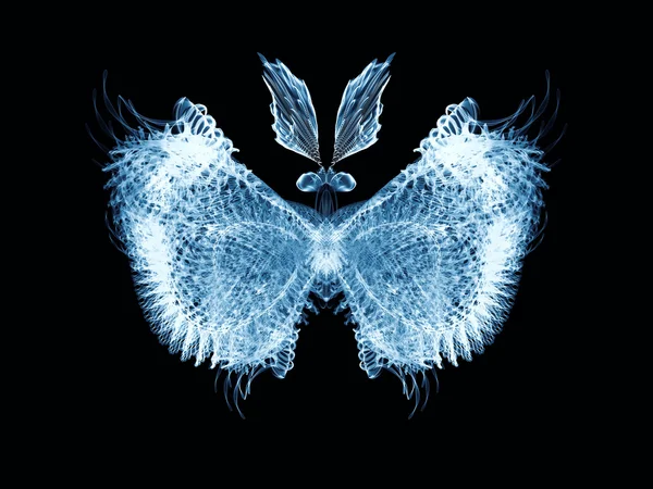 Mariposa fresca —  Fotos de Stock