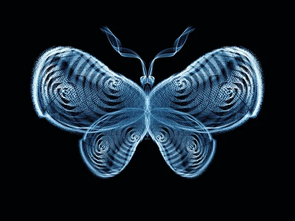 Mariposa fresca — Foto de Stock
