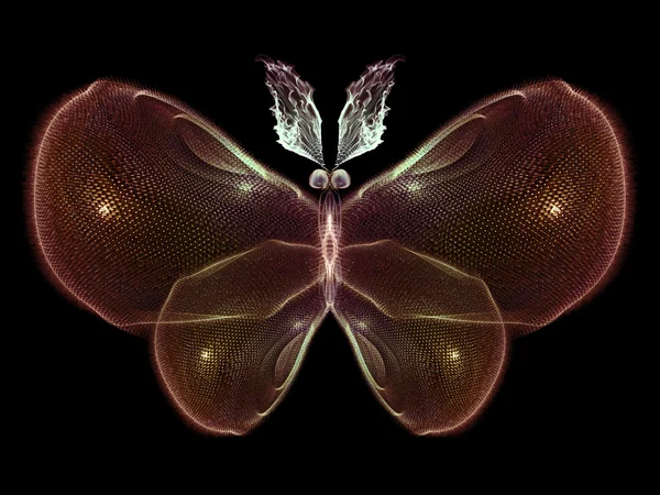 Illusion of Butterfly — Stock Photo, Image