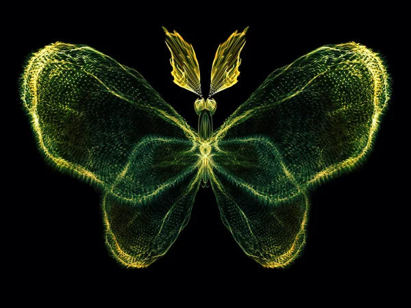 Kelebek büyüsü — Stok fotoğraf
