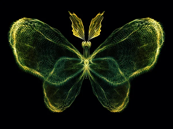 Kouzlo Butterfly — Stock fotografie