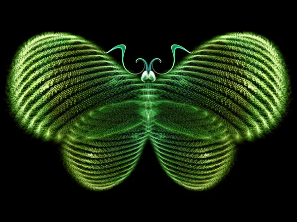 Butterfly visualisering — Stockfoto