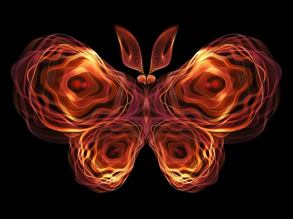 Visualisation papillon — Photo