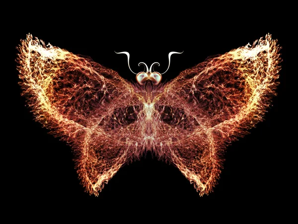 Butterfly ontwerp — Stockfoto