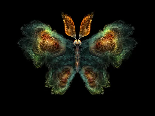 Butterfly Elements — Stock Photo, Image