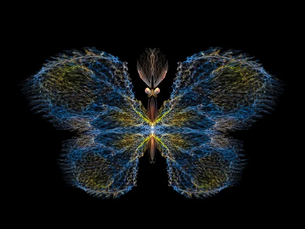 나비 디자인 — 스톡 사진