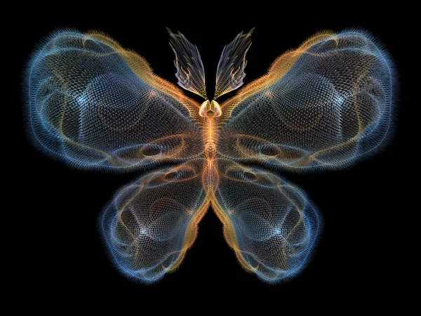 Elegancja motyla — Zdjęcie stockowe