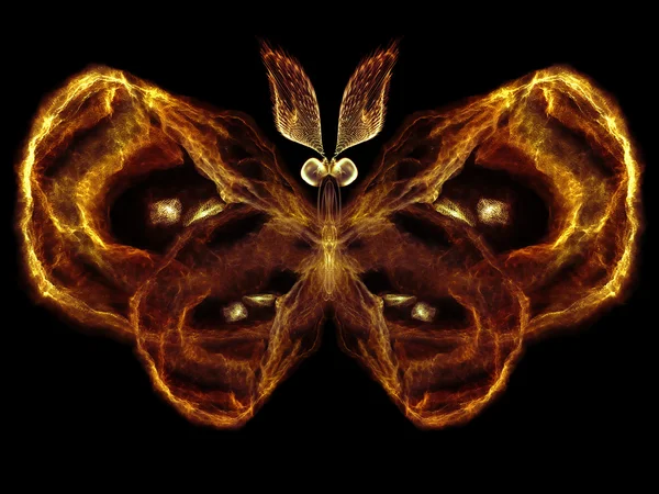 Magia da borboleta — Fotografia de Stock