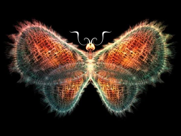 Glow of Butterfly — Stock Photo, Image