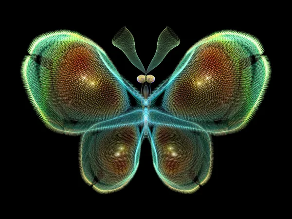 Елегантність метелик — стокове фото
