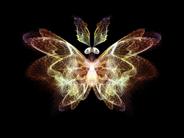 Ilusión de la mariposa — Foto de Stock