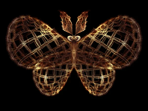 蝴蝶的错觉 — 图库照片
