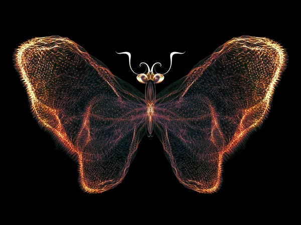 Pétalos de mariposa —  Fotos de Stock