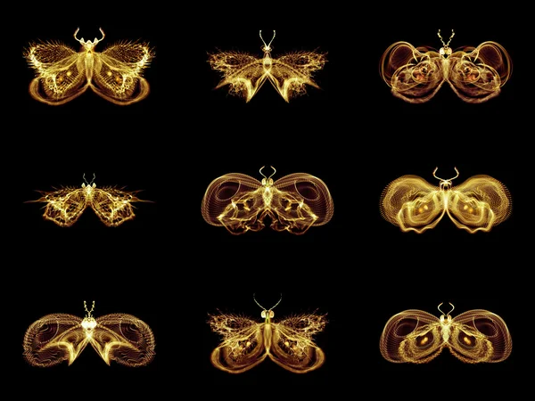 分形蝴蝶的集合 — 图库照片