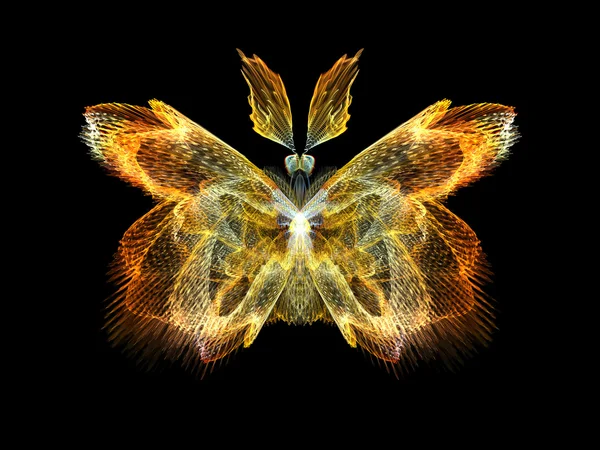 Butterfly Elements — Stock Photo, Image