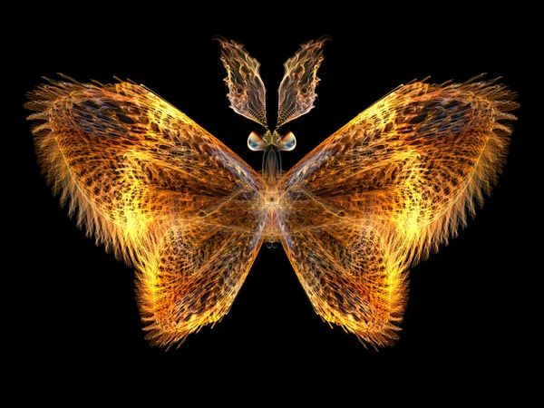 Papillon fractal — Photo