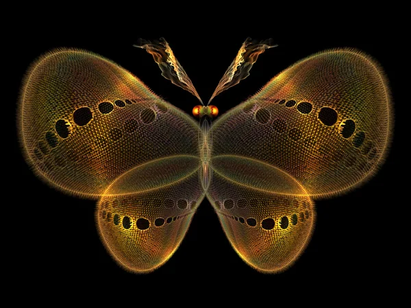 Eleganza della farfalla — Foto Stock