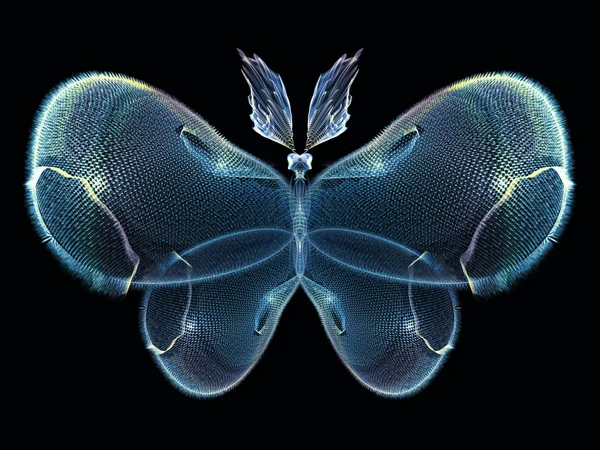 Mariposa fresca — Foto de Stock