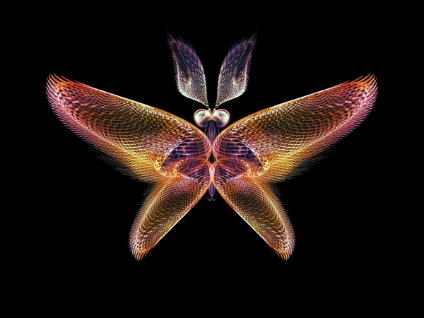 Pétales de papillon — Photo