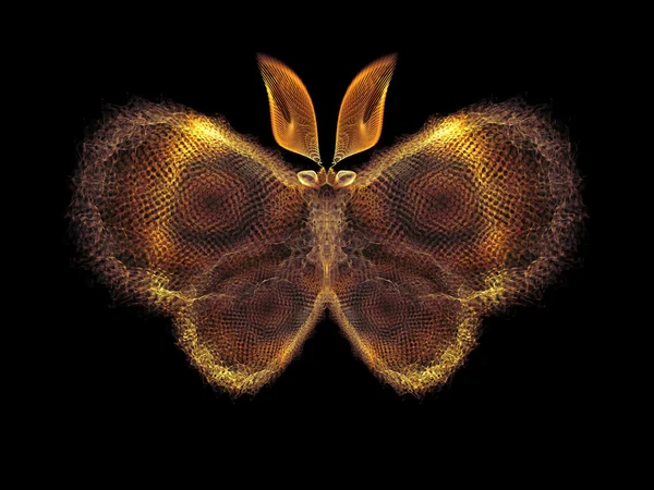 나비 검색 — 스톡 사진