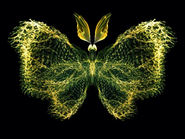 Magic of Butterfly — Stock Photo, Image