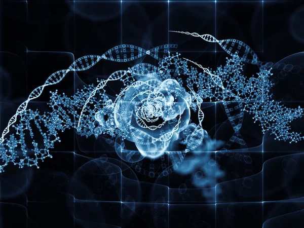Evolving DNA — Stock Photo, Image